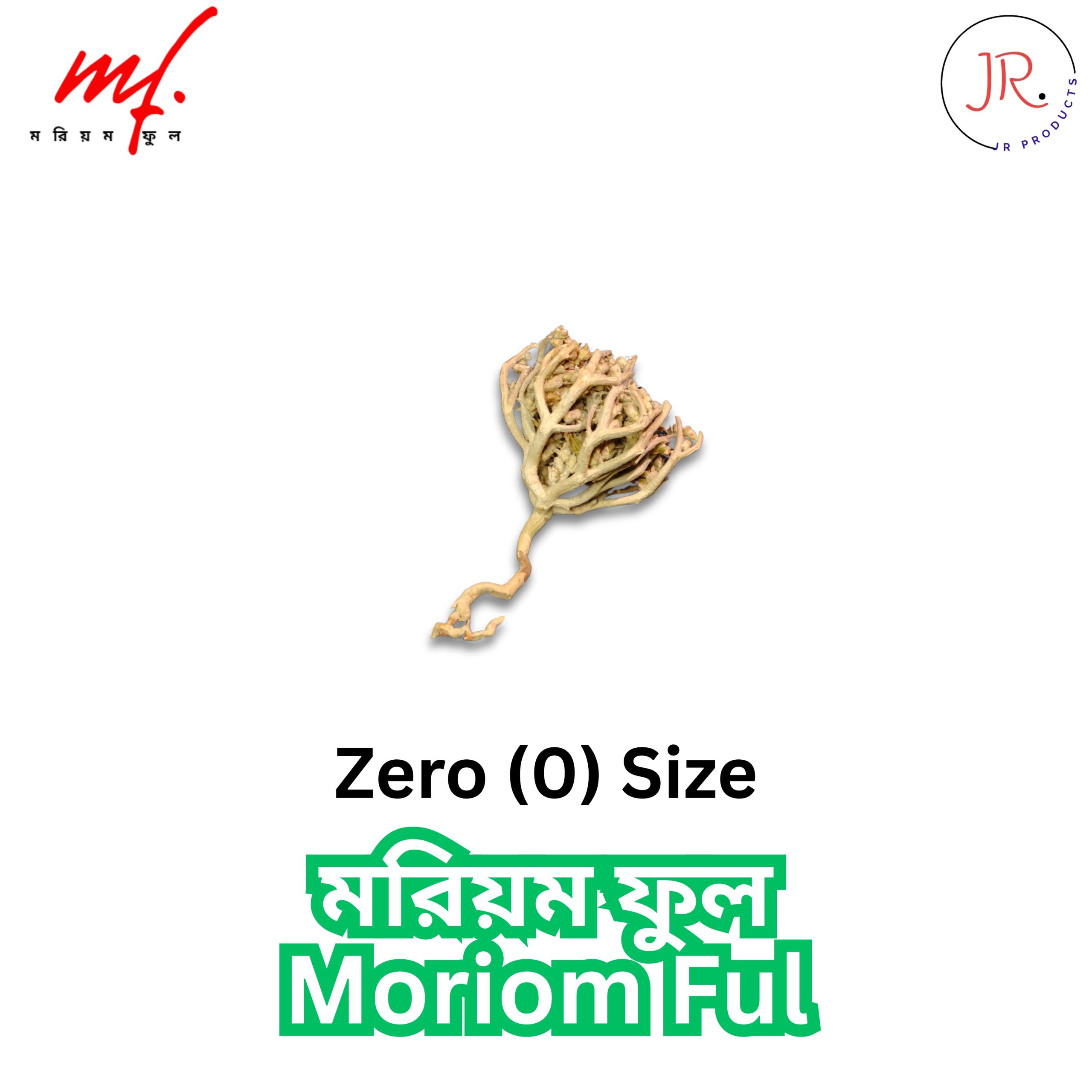 00 SIZE